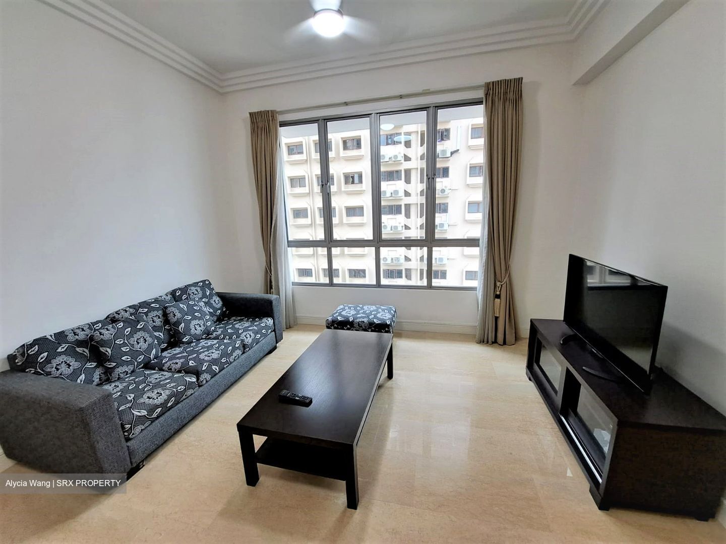 Thomson Euroasia (D11), Condominium For Rent 98783081